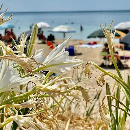 Chiaramare Vacanza, Casa Con Idromassaggio, Vicino Maldive Del Salento *